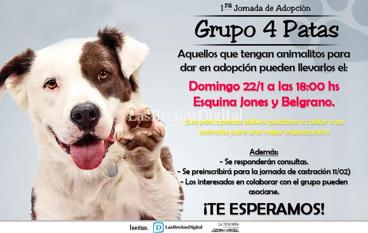adopcion imagen adopcion imagen