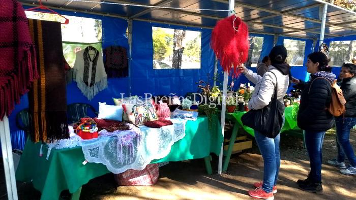 feria1 feria1