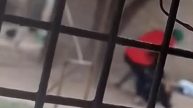 sanmartin violencia genero