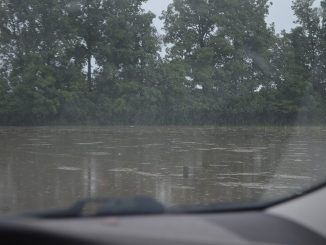 Campo cubierto de agua tras una inundación (imagen ilustrativa)