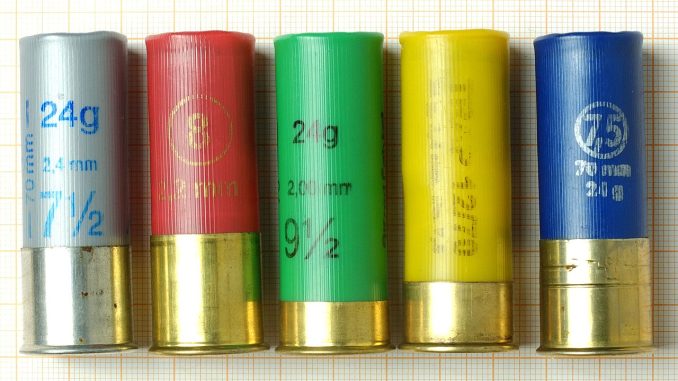 Cartuchos de escopeta calibre 12 sobre una superficie