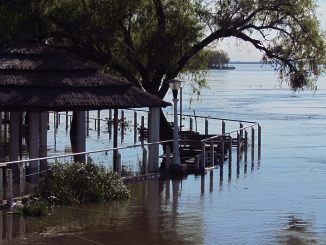 Zona ribereña inundada por la crecida del río Paraná, con árboles y viviendas rodeados de agua