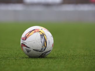 Pelota de fútbol sobre el césped